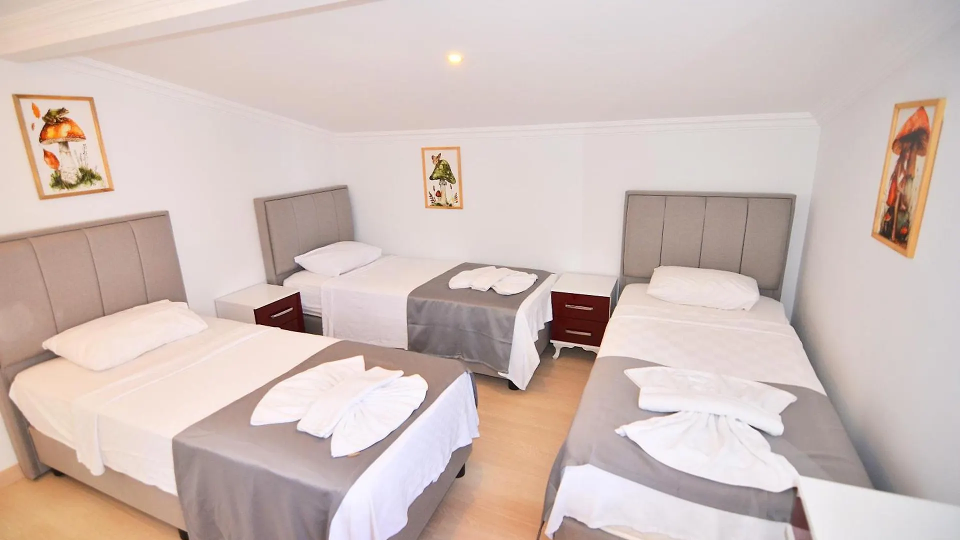 Royalis Apart Hotel By Mykonut Fethiye Turkey